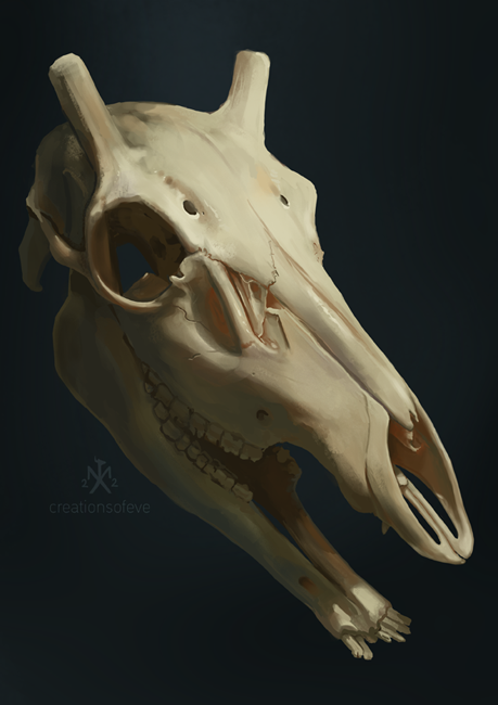 Art of a giraffe skull with strong lighting.